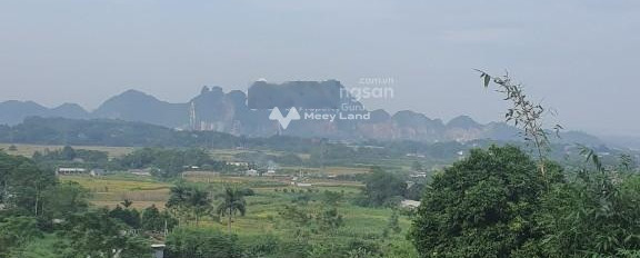 Em rất cần bán gấp 7000m2 đất siêu đẹp tại Cư Yên với giá siêu rẻ -03