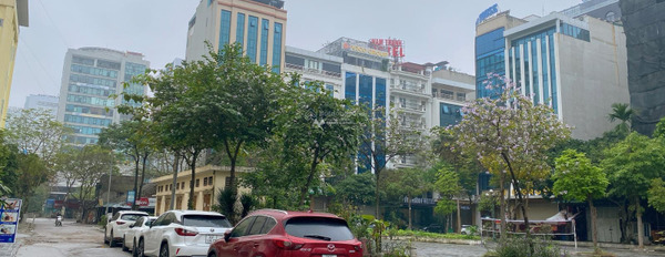 Chuyển định cư bán biệt thự vị trí đặt ngay ở Cầu Giấy, Hà Nội bán ngay với giá thỏa thuận 70 tỷ diện tích như sau 185m2 lh để xem ngay-03