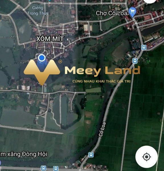 Giá quy định chỉ 890 triệu bán đất với dt 40 m2 vị trí nằm ở Cổ Loa, Hà Nội, hướng Đông-01