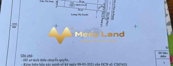 Bán đất có diện tích 130m2, vị trí ở Lê Văn Tách, Tương Bình Hiệp-03
