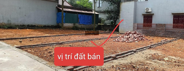 Bán đất thổ cư hơn 60m2 sẵn sổ, điểm vàng kết nối tại Vụ Bản, Minh Trí, Sóc Sơn -03