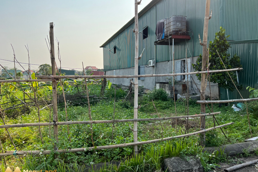 Chính chủ bán lô đất siêu mẫu trong giới bất động sản tại xã Đình Tổ, Thuận Thành, Bắc Ninh-01