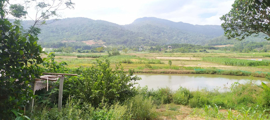 Bán 128m2 đất Suối Đá, Tây Ninh, giá 250 triệu