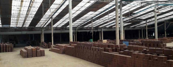Bán nhà máy gạch công nghệ hoffman ở xã Phước Vinh -02
