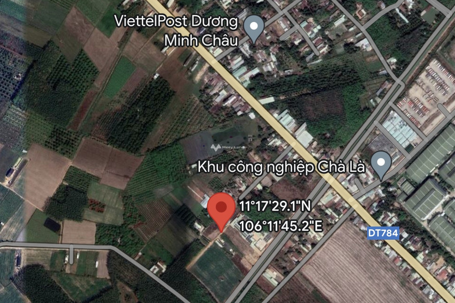 Chà Là, Dương Minh Châu bán đất diện tích chuẩn 300m2-01