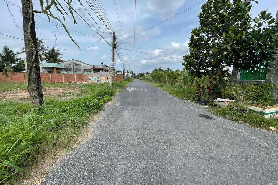Đất Thổ Cư Đường ÔTô Tránh Nhau gần KcN Tân Hương Tiền Giang -01