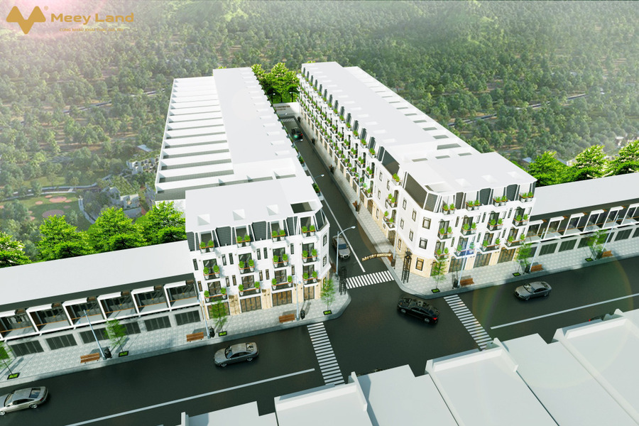 Cần bán căn nhà phố phố ngay Hồ Văn Long 4m x 20m, 3 tầng, phường Tân Tạo, Bình Tân-01