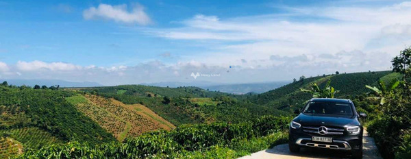 Vị trí đẹp tọa lạc gần Di Linh, Lâm Đồng bán đất giá đề xuất 650 triệu diện tích khoảng là 1250m2-02