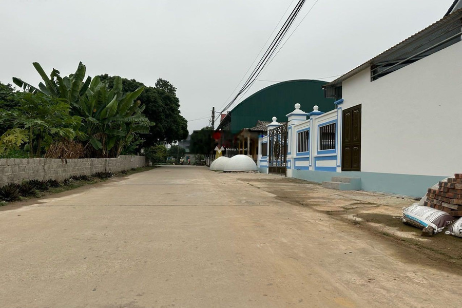 Bán đất tại Thanh Thủy, Phú Thọ. Diện tích 191m2-01