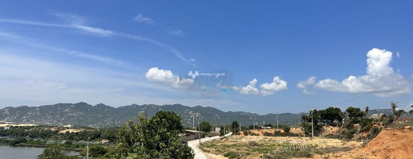 Ở Phước Dinh, Ninh Thuận bán đất 2.77 tỷ với diện tích tiêu chuẩn 960m2-03