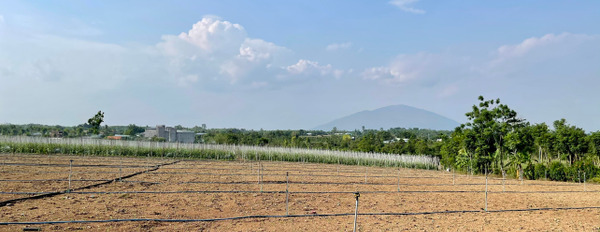 Bán đất vườn có 83m mặt tiền và 300m2 thổ cư, khu dân cư đông đúc tại Xuân Tây, Đồng Nai-03