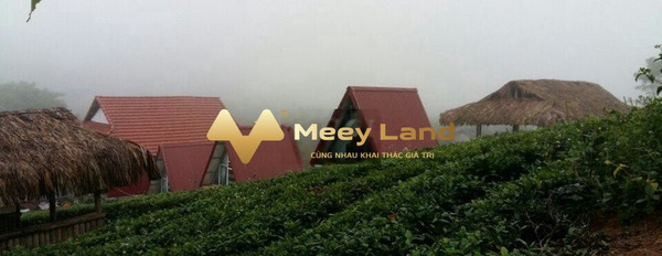 Vị trí đặt tọa lạc ngay trên Thị Trấn NT Mộc Châu, Huyện Mộc Châu bán đất giá cực sốc từ 1 tỷ dt sàn là 1731 m2-02