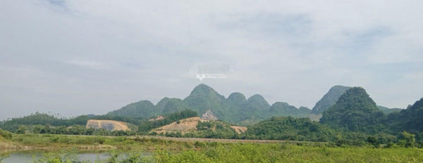 Bán đất Kim Bôi, Hòa Bình tổng diện tích là 2400m2-03