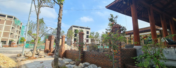 Bán đất nền Park hill Thành Công tại Vĩnh Yên, Vĩnh Phúc-03