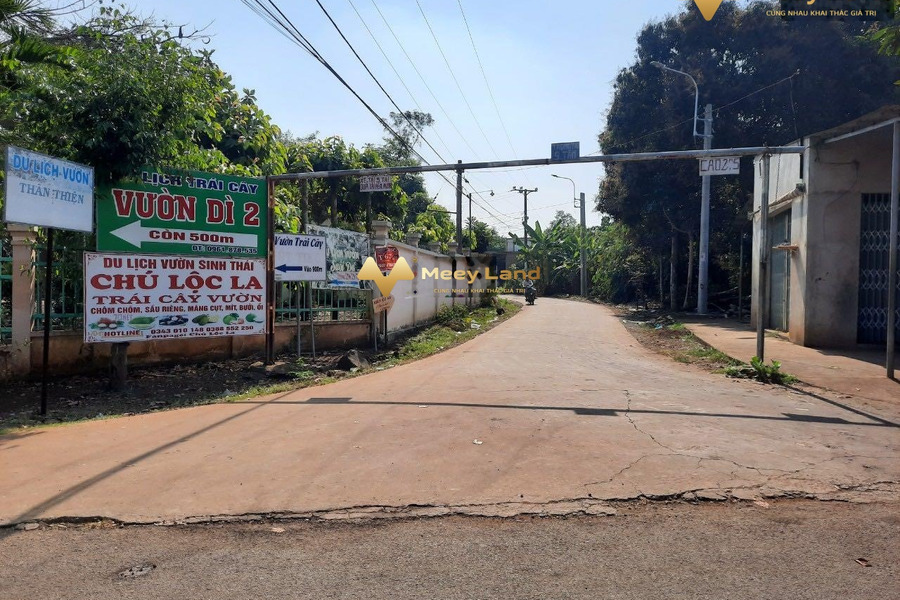 Bán lô đất đường Bình Lộc, Long Khánh, Đồng Nai-01