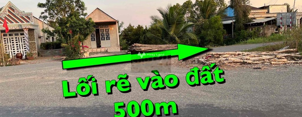 Bán đất 450 triệu Mỹ Thạnh Đông, Long An diện tích đúng với trên ảnh 1000m2-02