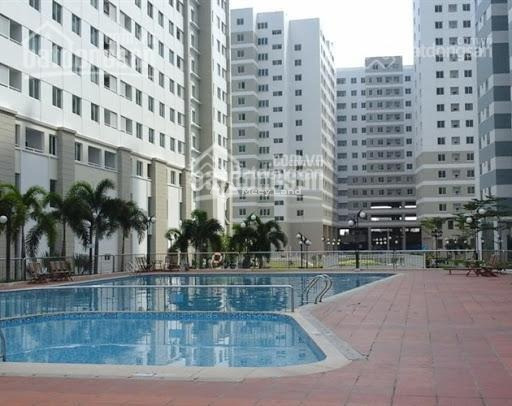 Cho thuê chung cư vị trí đẹp tọa lạc ngay tại Phú Mỹ, Hồ Chí Minh thuê ngay với giá hạt dẻ chỉ 8 triệu/tháng-01