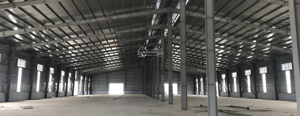 Tôi chính chủ cho thuê kho bãi có diện tích chung là 3000m2 vị trí đẹp nằm ở Tỉnh Lộ 427, Thường Tín thuận tiện di chuyển-02