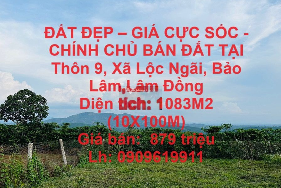 CHÍNH CHỦ BÁN ĐẤT TẠI Thôn 9, Xã Lộc Ngãi, Bảo Lâm,Lâm Đồng -01