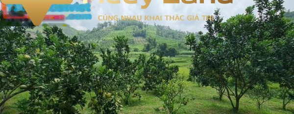 Siêu hót đất Cao Phong, Hòa Bình 2000m2, giá 1 tỷ trao đổi trực tiếp-03