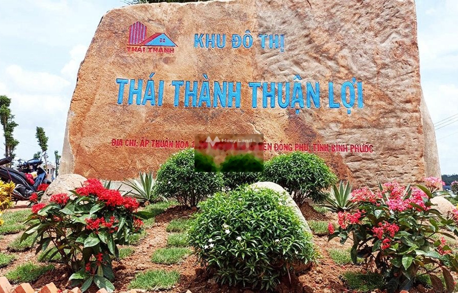 Bán đất nền khu đô thị Thái Thành, Thuận Lợi, Đồng Phú, Bình Phước-01
