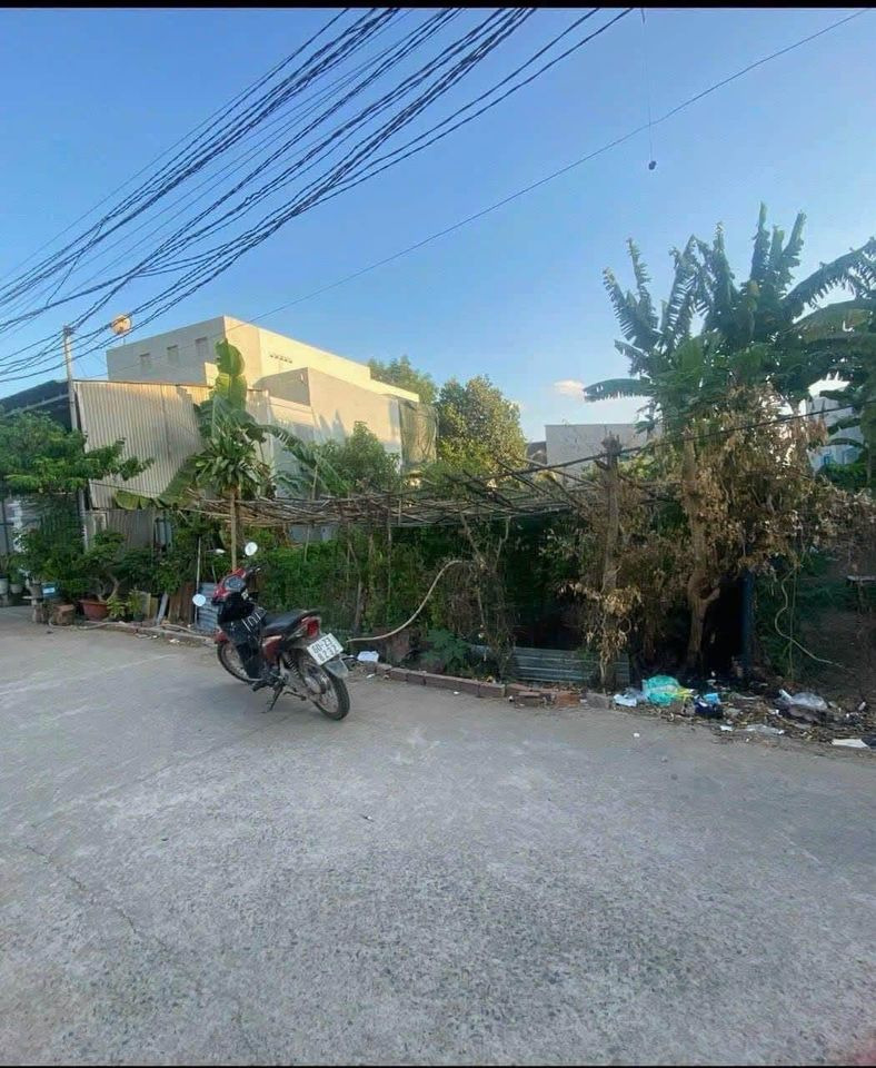 Bán đất quận 9 thành phố Hồ Chí Minh giá 300.0 triệu-1