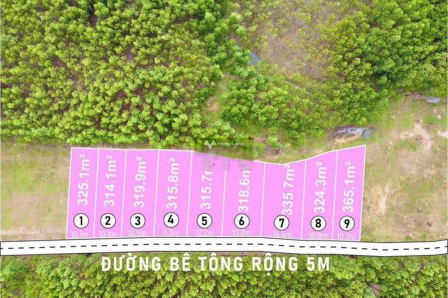 Nằm trong mức 219 triệu bán đất có diện tích tiêu chuẩn 365m2 ngay trên Khánh Hiệp, Khánh Vĩnh-01