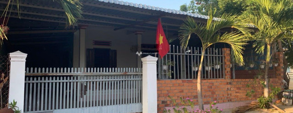 Hàm Tiến, Bình Thuận bán đất, hướng Tây - Nam diện tích trong khoảng 246.7m2-03