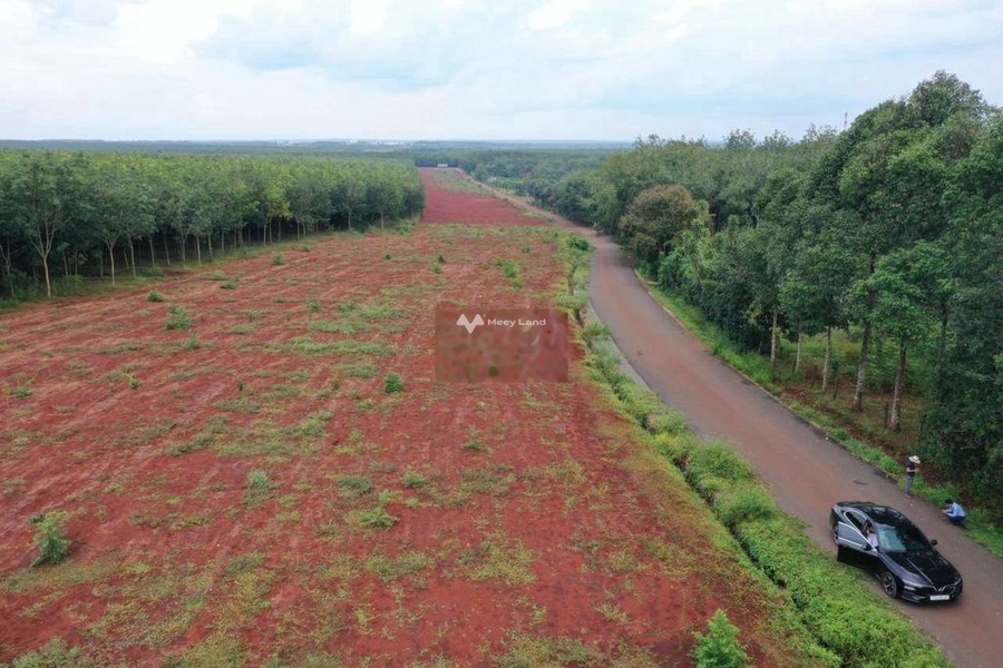 1 tỷ bán đất có diện tích chung là 100m2 vị trí mặt tiền nằm trên Hớn Quản, Bình Phước-01