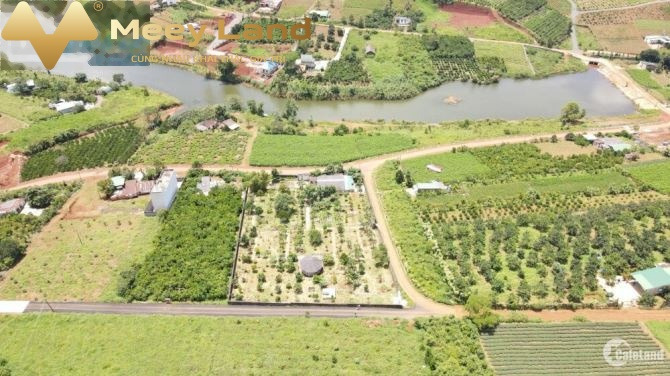 Bán đất tại Bảo Lộc, Lâm Đồng giá 950 triệu diện tích tầm trung 180m2-01