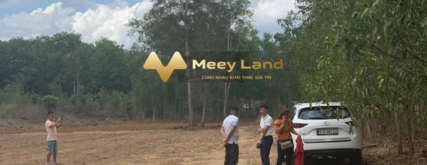 Nằm trong mức 1.9 tỷ bán đất có diện tích chung 1000 m2 vị trí ngay tại Huyện Long Thành, Tỉnh Đồng Nai-03