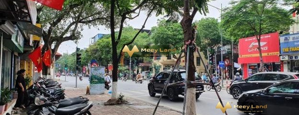 Giá bán gốc chỉ 13.7 tỷ, Bán đất dt sàn là 60 m2 vị trí nằm ở Nguyễn Thái Học, Hà Nội, , lộ ngang 8 mét liên hệ ngay để được tư vấn-02
