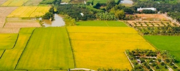 Bán lô đất mặt tiền Ông Binh Xã Thạnh Phú, Vĩnh Cửu, 959m2, giá 4,25 tỷ-03