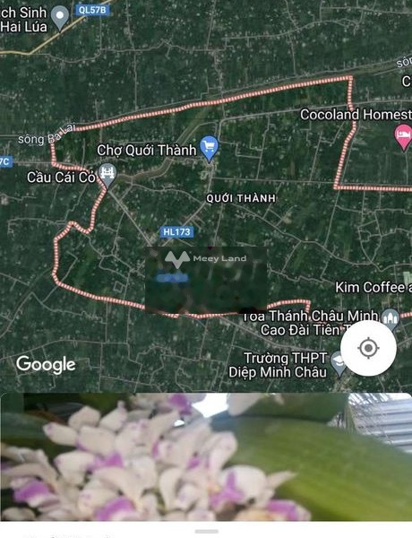 Bán đất 850 triệu Quới Thành, Bến Tre diện tích tổng là 1200m2-01