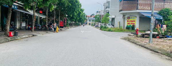 Bán đất diện tích 93,6m2 tại Quỳnh Cư, Hùng Vương-02