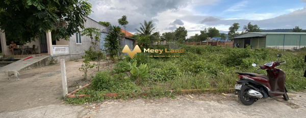 Giá 2.06 tỷ bán đất có dt thực 137 m2 vị trí đặt ở trong Xã Dương Tơ, Huyện Phú Quốc-02