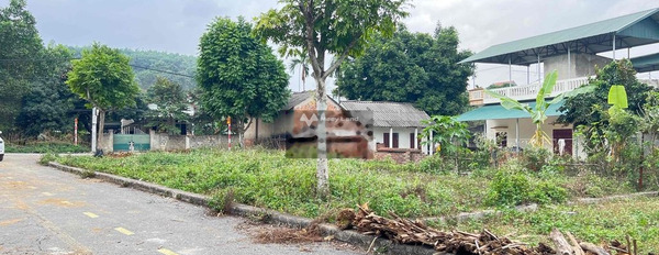Quốc Oai, Hà Nội 950 triệu bán đất diện tích rộng rãi 80m2-03