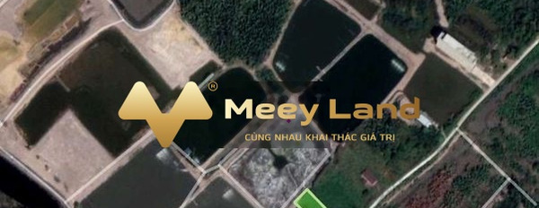 Ngay Xã Bình Khánh, Hồ Chí Minh bán đất 4.58 tỷ có dt thực 539m2-02