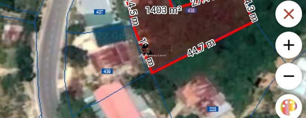 Bán đất với diện tích rộng 1100m2 ở Quốc Lộ 20, Đà Lạt-02