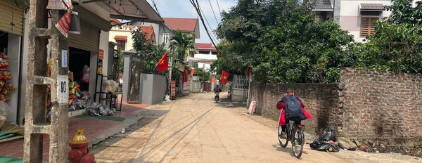 Cần bán nhà riêng huyện Mê Linh, Hà Nội, giá 1,4 tỷ-02