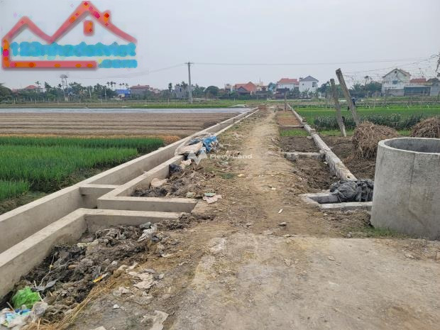 Bán đất 1.09 tỷ Kinh Môn, Hải Dương diện tích thực tế 115m2, với đường đi 5 mét-01