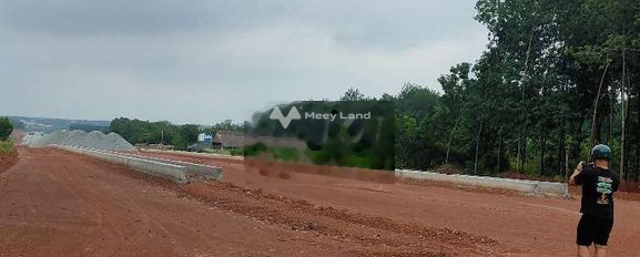 Bán đất giá cực tốt 8 tỷ, có diện tích khoảng 22000m2, ở Đồng Phú, Bình Phước-03