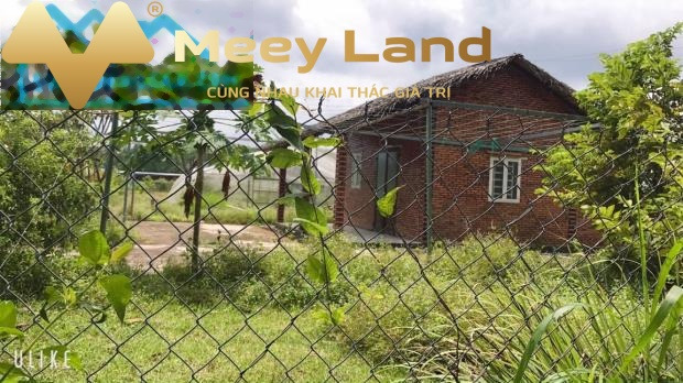 Bán đất 13.45 tỷ Đường Quách Thị Trang, Huyện Nhơn Trạch dt như sau 2991 m2-01