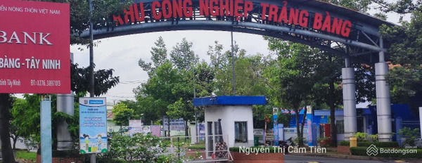 Nhà nát C4 đường Nguyễn Trọng Cát, Lộc Du, Trảng Bàng (5 20)m giá 270 tr cách chợ Trảng Bàng 500m -02