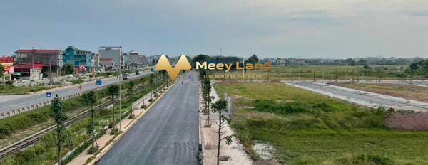 Bán đất ở đường Quốc Lộ 1A, tỉnh Bắc Giang, vị trí dự án nằm tại Rùa Vàng City-02