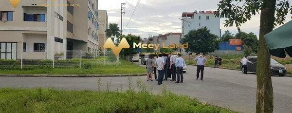 Nằm trong mức 1.73 tỷ bán đất có dt trung bình 75 m2 mặt tiền nằm ngay ở Đường 286, Yên Phong-02