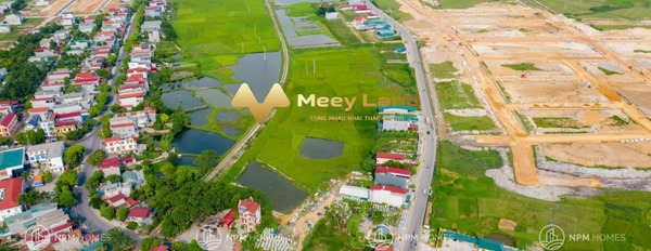 Bán đất tại Thanh Minh, Phú Thọ. Diện tích 100m2, giá 1,2 tỷ-03