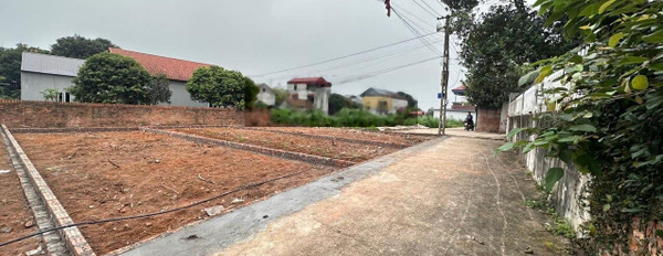 Chỉ hơn 1xtr/m2 quý AC sở hữu lô 72.8m2 đất đẹp tiềm năng tại Phú Hạ - Minh Phú - Ss - HN -03