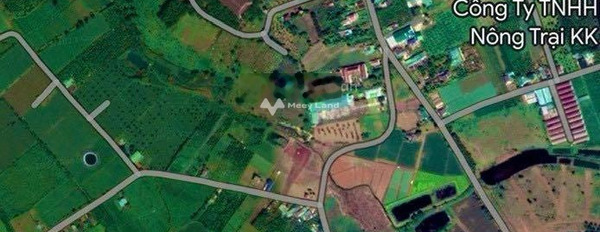 Bảo Lâm, Lâm Đồng 750 triệu bán đất với diện tích thực 173m2-03