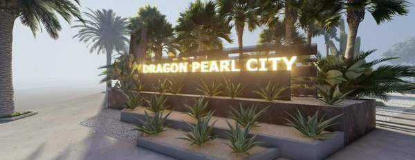 Đất dự án Dragon Pearl ngay kênh An Hạ, giáp Bình Chánh, giá tốt nhất thời điểm hiện tại-03